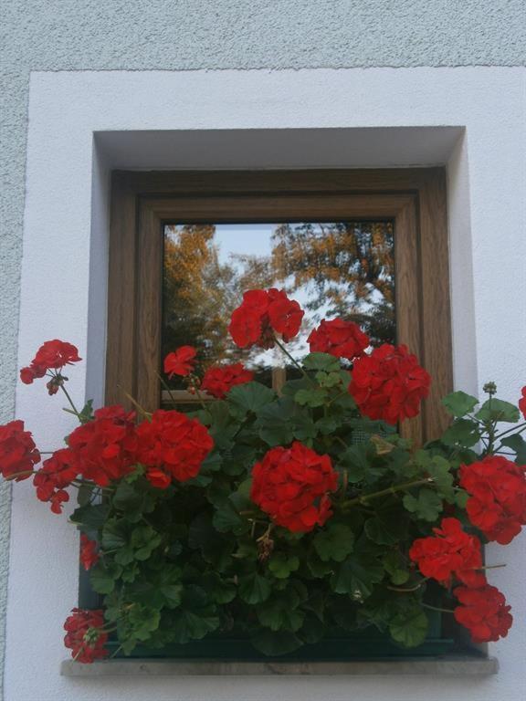 Appartement Haus Schober à Windischgarsten Extérieur photo